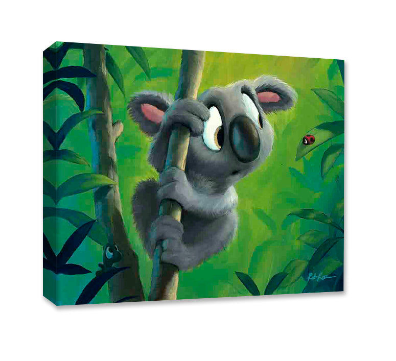 Curious Koala - Gallery Wrapped Canvas