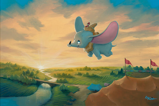 Flight Over The Big Top, by Rob Kaz