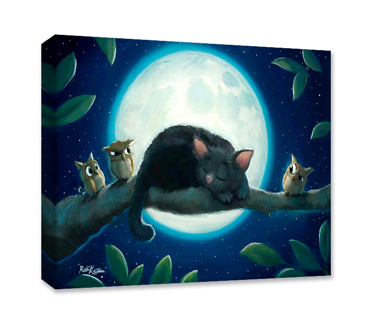 Bad Luck - Gallery Wrapped Canvas