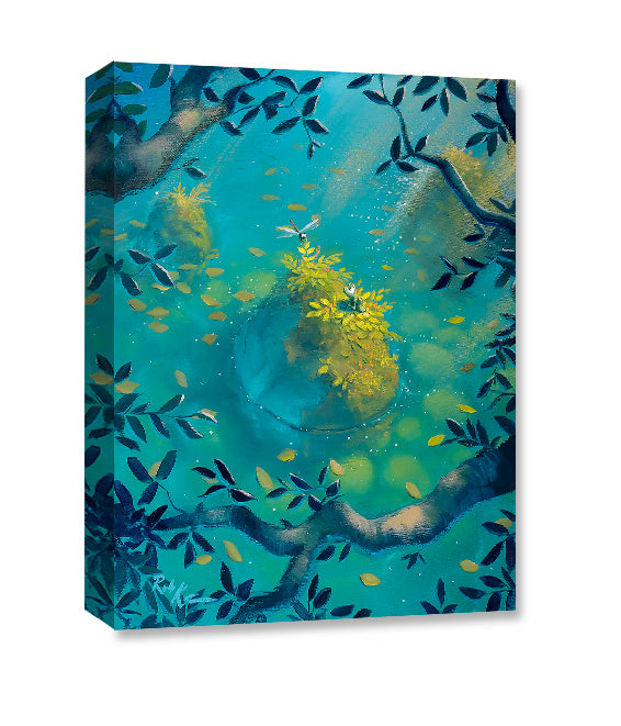 Dragonfly Rock- Gallery Wrapped Canvas
