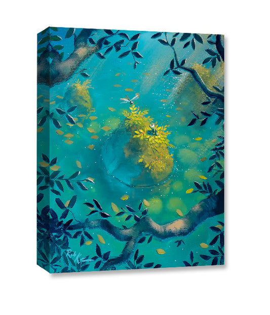 Dragonfly Rock- Gallery Wrapped Canvas