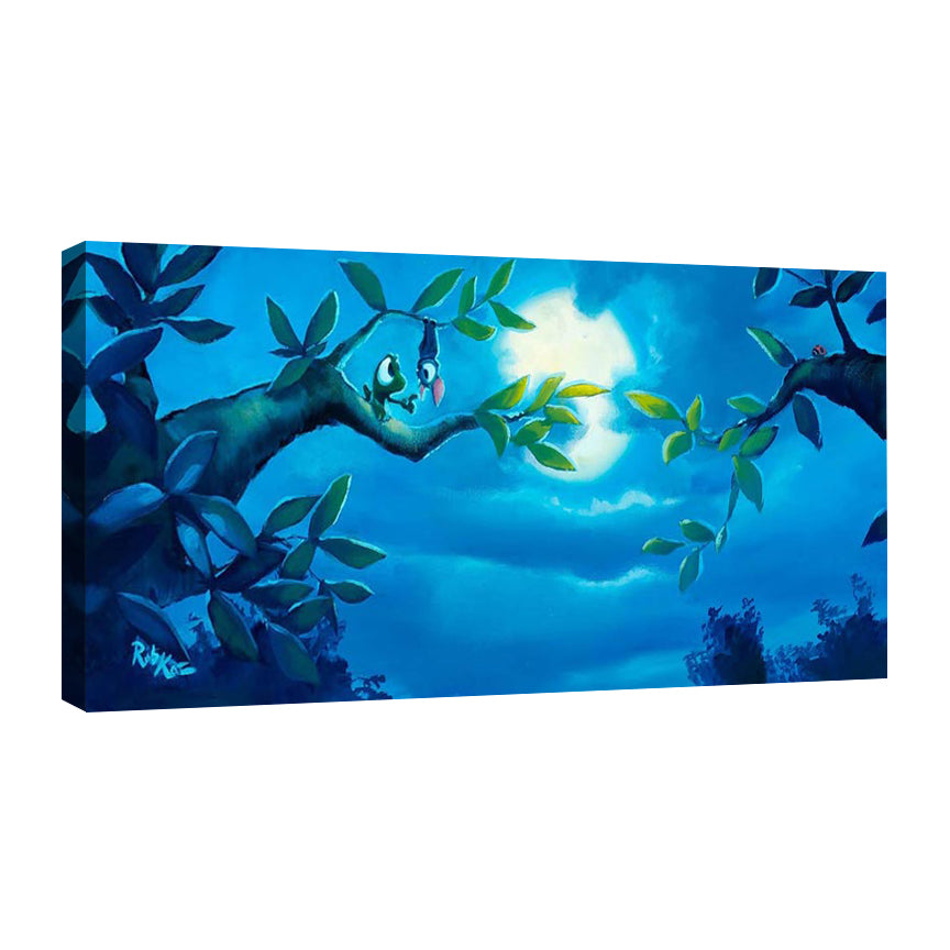 New Perspective - Gallery Wrapped Canvas