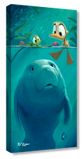 Curious Sea Cow - Gallery Wrapped Canvas