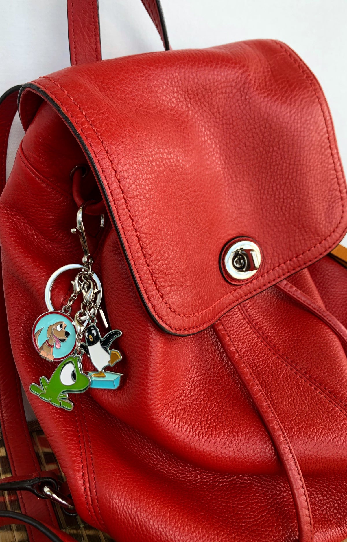 Beau Dog charm - Friends Along The Way by Rob Kaz