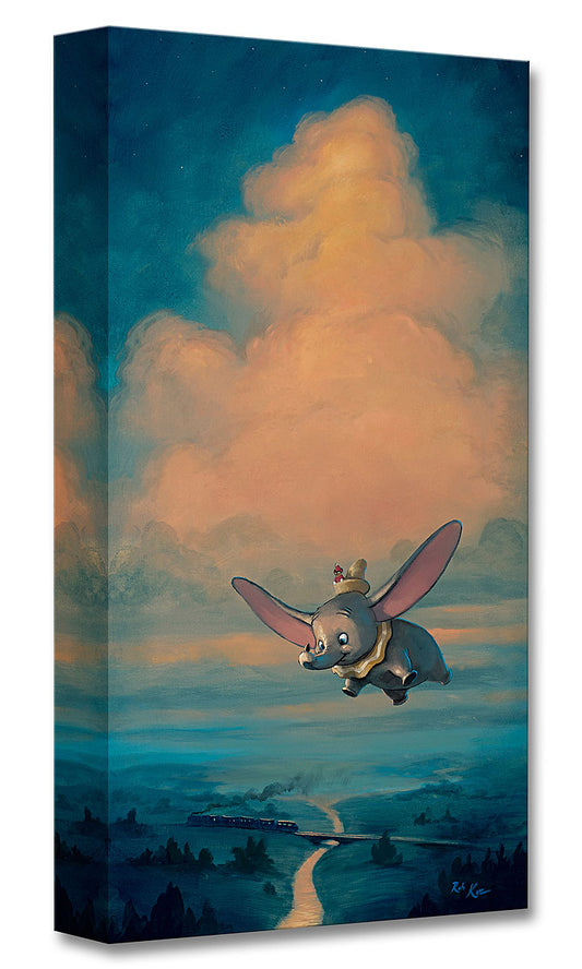 Joy of Flight, by Rob Kaz