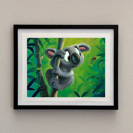 Curious Koala - Framed Open Edition Print