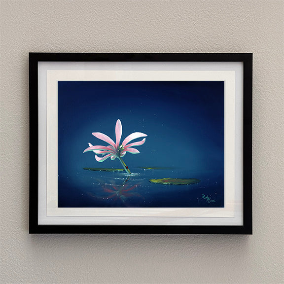 Water Lily - Framed Open Edition Print