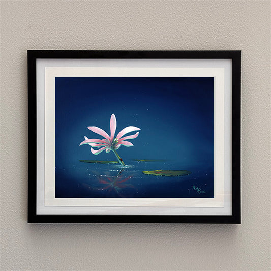 Water Lily - Framed Open Edition Print