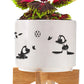 Mini Ceramic Planter set with Seeds & Peat Pellet featuring Beau and Friends