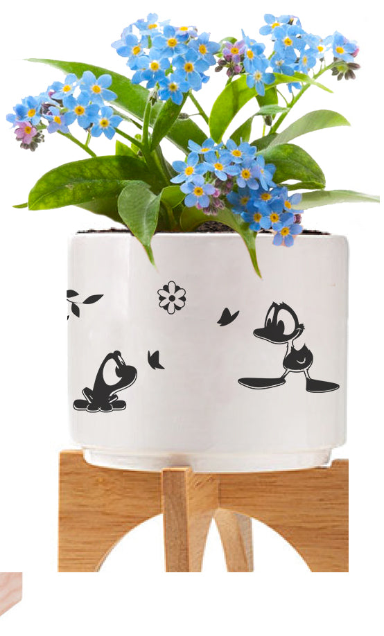 Mini Ceramic Planter set with Seeds & Peat Pellet featuring Beau and Friends