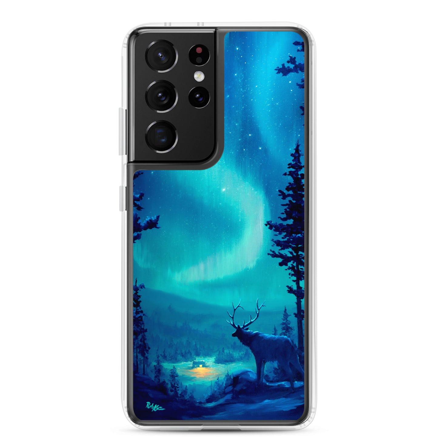 Samsung Case featuring Northern Light by Rob Kaz